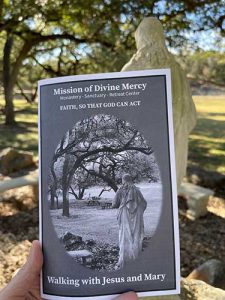 Walking With Jesus And Mary